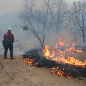 Wildfire activity is forecast to increase Friday through Monday along and west of I-35 and into South Texas as dormant vegetation dries and becomes receptive to fire ignitions.